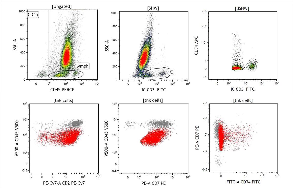 flow cytometry immunophenotype at day 42 1